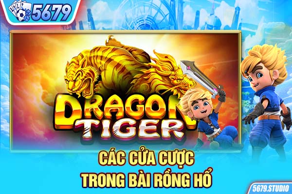 Các cửa cược trong bài rồng hổ