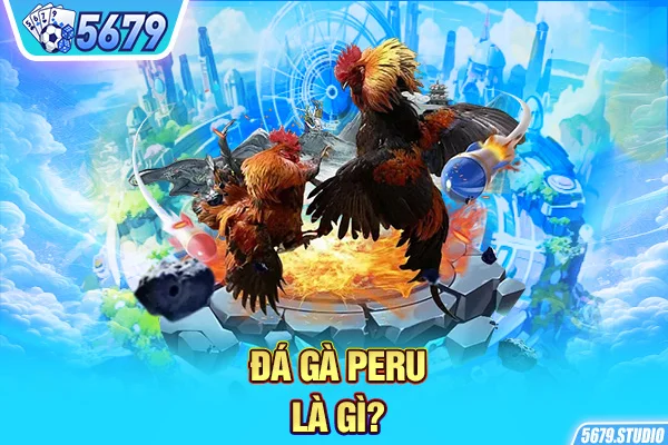 Đá gà Peru là gì?