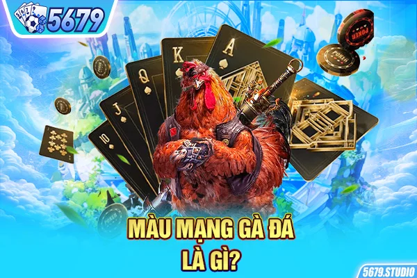 Màu mạng gà đá là gì?